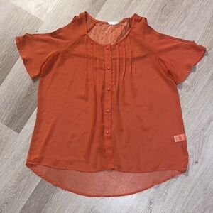 Blu Pepper Peek-a-Boo Sheer Button-Down Top
